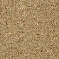 Charter Berber Deluxe Wilton Royal Carpet by Abingdon