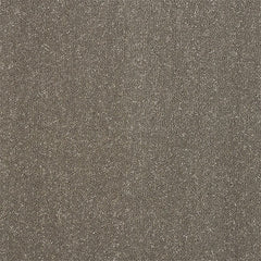 Stainfree Captivation Carpet by Abingdon