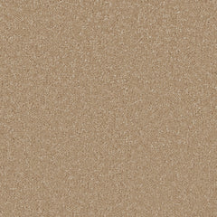 Ultimate Sensation Carpet By Cormar