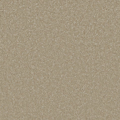 Ultimate Sensation Carpet By Cormar