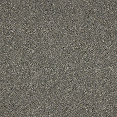 Stainfree Knightsbridge Berber by Abingdon