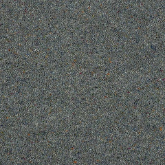 Charter Berber Deluxe Wilton Royal Carpet by Abingdon
