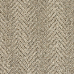 Royal Sterling Wilton Royal Carpet by Abingdon