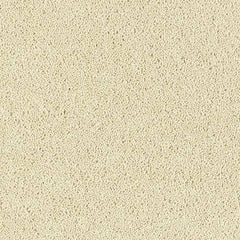 Royal Charter Deluxe Wilton Royal Carpet by Abingdon