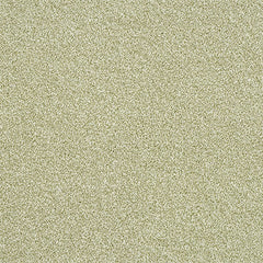 Stainfree Rustique Ultra by Abingdon