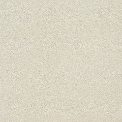 Stainfree Twist Carpet by Abingdon