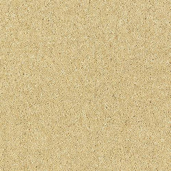 Royal Charter Deluxe Wilton Royal Carpet by Abingdon