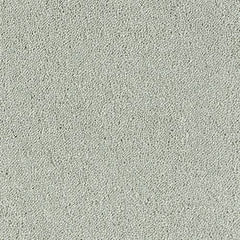 Stainfree Sophisticat by Abingdon