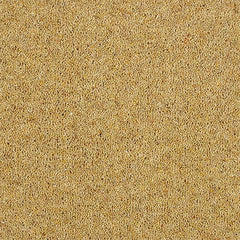 Charter Berber Deluxe Wilton Royal Carpet by Abingdon