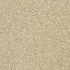 Stainfree Twist Carpet by Abingdon