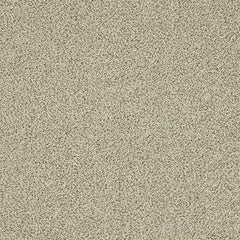 Stainfree Knightsbridge Berber by Abingdon