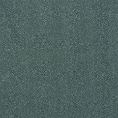 Stainfree Captivation Carpet by Abingdon