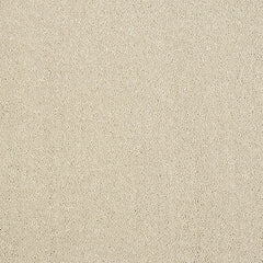 Stainfree Captivation Carpet by Abingdon