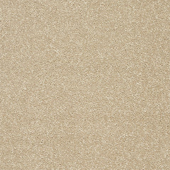 Stainfree Twist Carpet by Abingdon