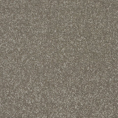 Stainfree Twist Carpet by Abingdon