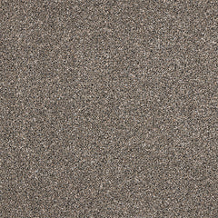 Stainfree Knightsbridge Berber by Abingdon