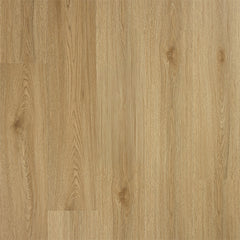 Simply Smooth Eminence Dryback LVT by Abingdon