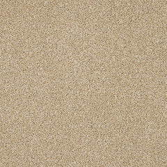 Stainfree Knightsbridge Berber by Abingdon
