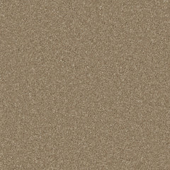 Zenith Carpet By Cormar