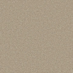 Zenith Carpet By Cormar