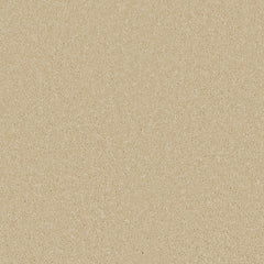 Zenith Carpet By Cormar