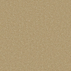 Zenith Carpet By Cormar