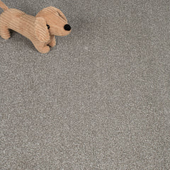 Hidden Depths Love Story Carpet by Abingdon