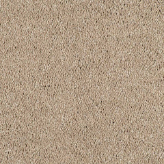 Velvet Dreams Love Story Carpet by Abingdon